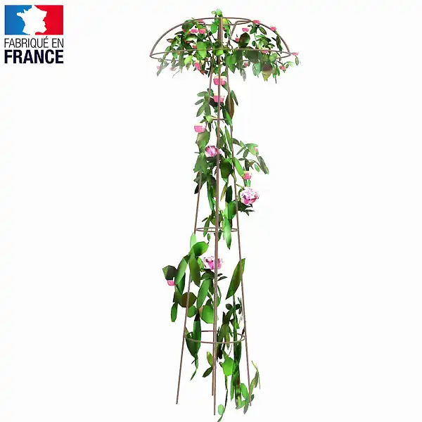 tuteur colonne rosier grimpante  tuteur colonne rosier grimpante