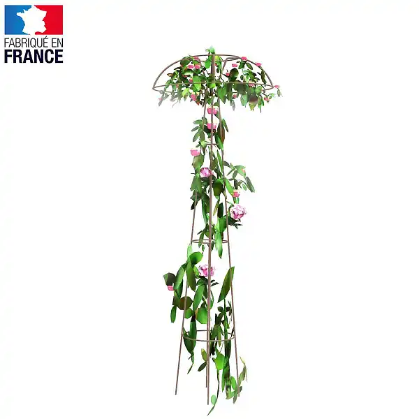 tuteur colonne rosiers couronne