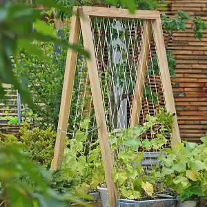 Support plante grimpante - Filet à ramer concombre, haricot, petit pois 120 x 80cm