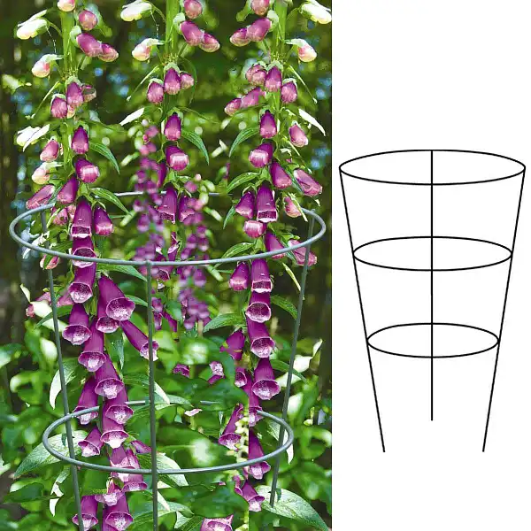 tuteur cone plante tuteur cone plante