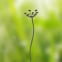 Produit shopeco.fr : Tuteur décoratif cerfeuil sauvage en métal 117cm