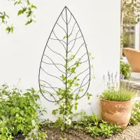 Treillis décoratif grande Feuille - Tuteur pour plante grimpante en fer L.72,50 x H.180cm