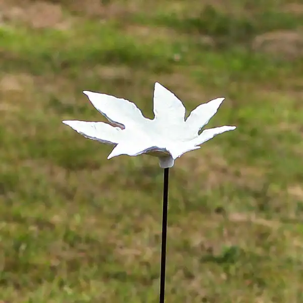 tuteur feuille porcelaine ricin  tuteur feuille porcelaine ricin