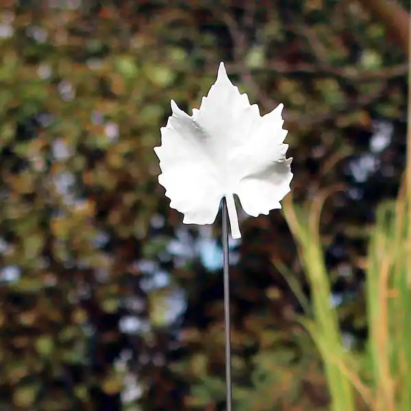 tuteur feuille porcelaine vigne  tuteur feuille porcelaine vigne