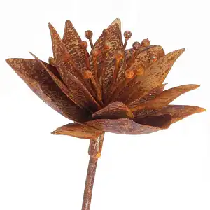Tuteur fleur Anémone en fer brut 20cm
