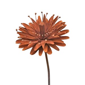 Tuteur fleur Aster en fer brut 18cm