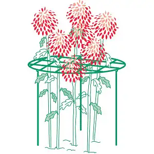 Tuteur grille rond support pour plantes - Pivoines et dahlias