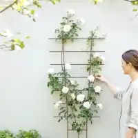 Treillage &eacute;ventail pour pot et balcon en acier brun - L.34 x H.77cm