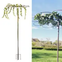 Tuteur Parapluie marguerite 10 p&eacute;tales