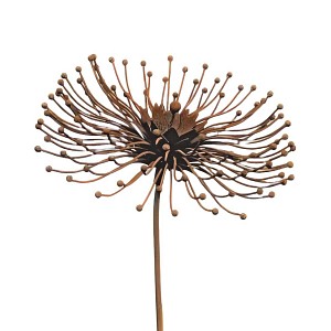 Lien vers un produit variante ou accessoire : Tuteur fleur Pissenlit en fer brut 32cm