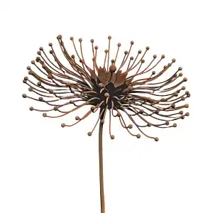 Tuteur fleur Pissenlit en fer brut 32cm