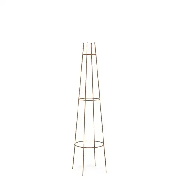 tuteur plante grimpante corten 120cm