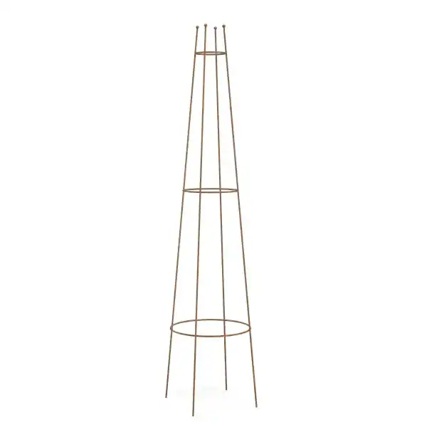 tuteur plante grimpante corten 150cm