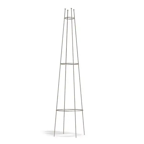 tuteur plante grimpante dafe82