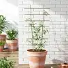 Treillage éventail pour pot et balcon en acier brun - L.34 x H.77cm