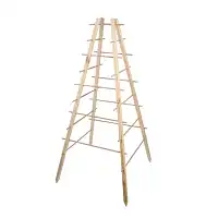 Support plante grimpante pyramide en bois FSC H. 143cm