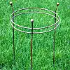 Tuteur rond 2 anneaux support pour plantes en fer - Pivoines et dahlias