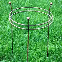 Tuteur rond 2 anneaux support pour plantes en fer - Pivoines et dahlias