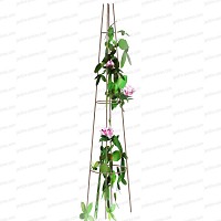 Tuteur colonne rosier grimpant 2.80m