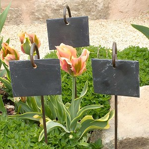 BESTONZON 10 pcs étiquettes de Jardin piquets dardoise étiquettes de Plantes Signe de Serre marqueur de Jardin Noir 