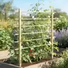 Support pour plantes grimpantes en bois FSC L.100 x H.100cm - Treillis et tuteur pour jardin et potager