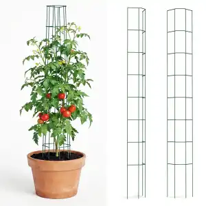 Tuteurs tomate universel - lot de 2 - H.170cm