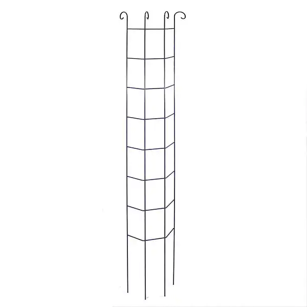 tuteur volute plante grimpante