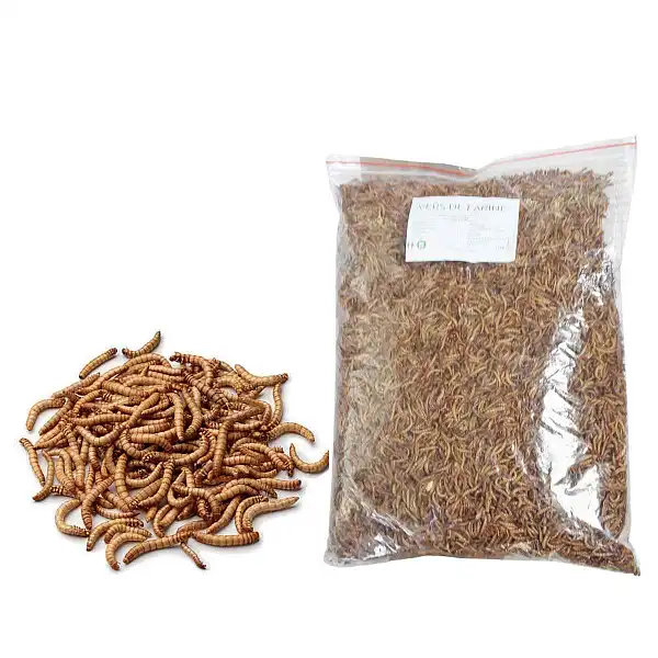 vers de farine seches 1kg