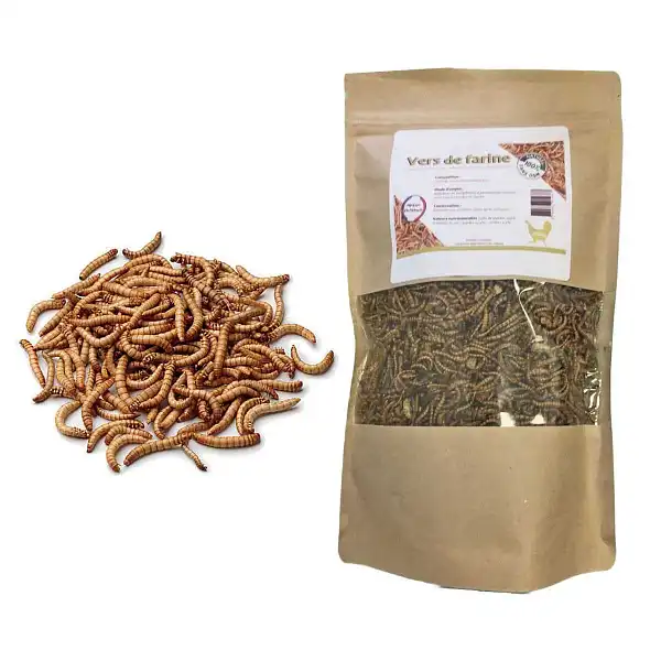 vers de farine seches