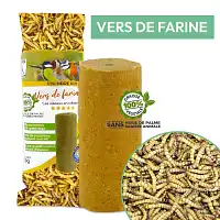 Cylindre de graisse pour oiseaux sans huile de palme - vers de farine