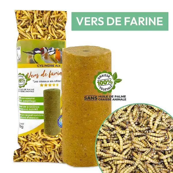 vers farine cylindre graisse oiseaux