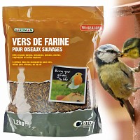 Nourriture vers de farine séchés pour oiseaux 1.2kg