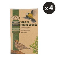 Boites de vers de farine sÃ©chÃ©s pour oiseaux - lot de 4