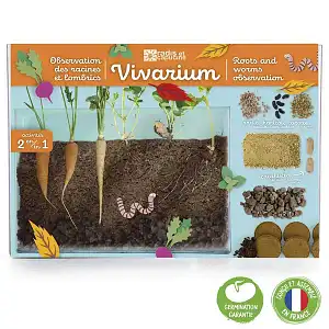 Vivarium pour observer les Racines et les Vers de terre  Vivarium pour observer les Racines et les Vers de terre