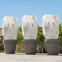 Voiles d'hivernage blanc non zippés H.180 cm - lot de 3