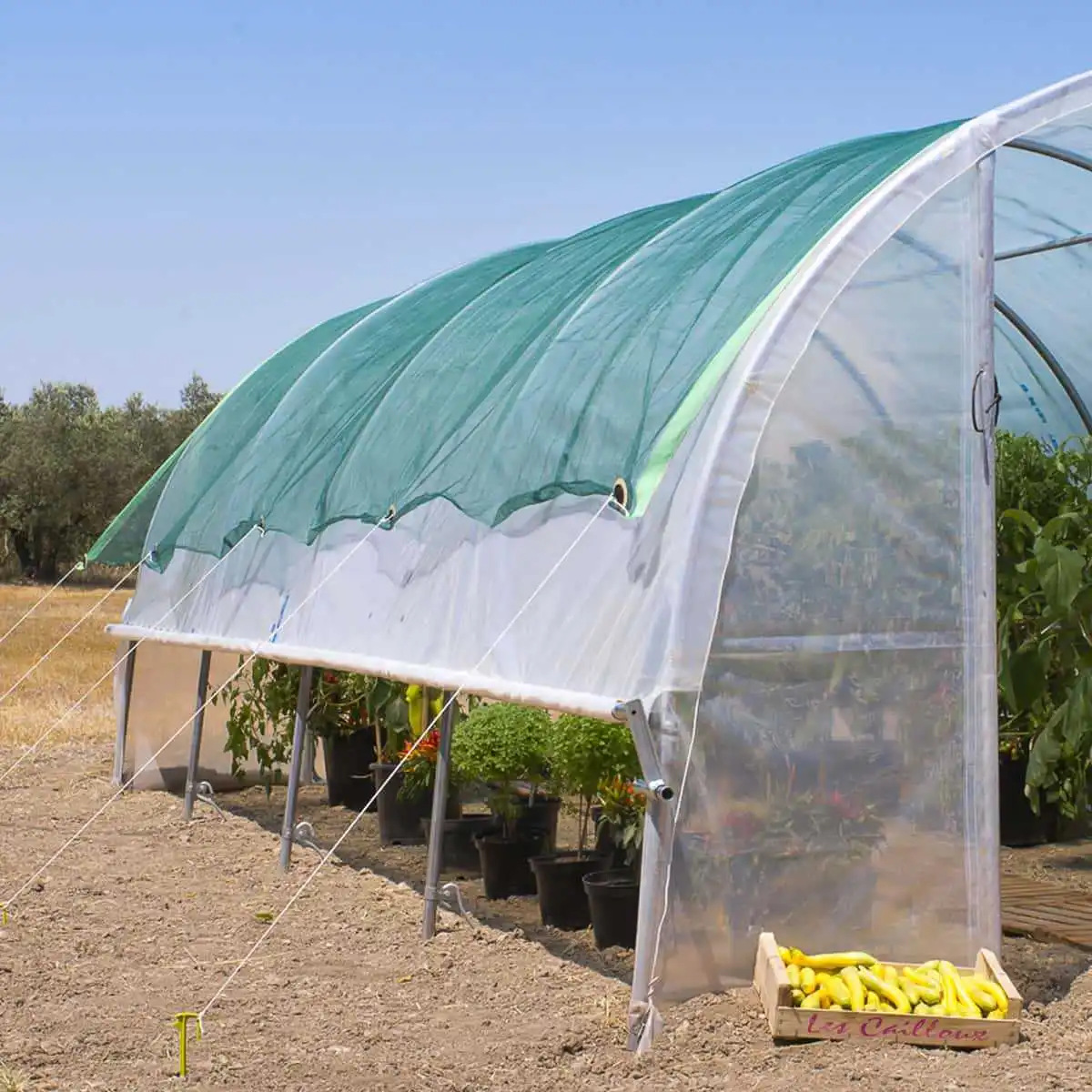 Voile d'ombrage pour serre de jardin 4m x 6m  Voile d'ombrage pour serre de jardin 4m x 6m