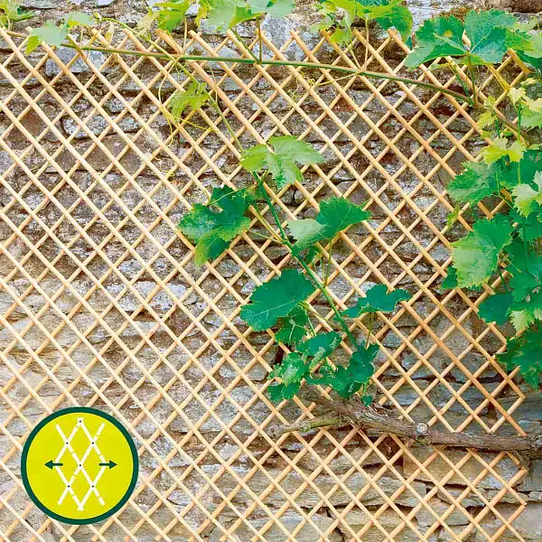 wick treillis osier pele 150 200