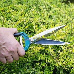 Ciseau de jardin manuel pour arbustes et topiaires