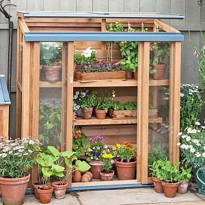 Mini serre de jardin en bois Gabriel Ash