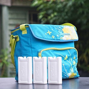 Accumulateur de froid rigide - lot de 3