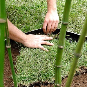 Barrière Anti-Rhizome Bambou 10x0.73m Bidim