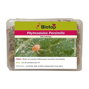 Phytoseiulus contre acariens araignées rouges (tétranyque tisserand)