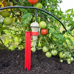 Arrosage automatique IRISO goutte a goutte Jardin Potager