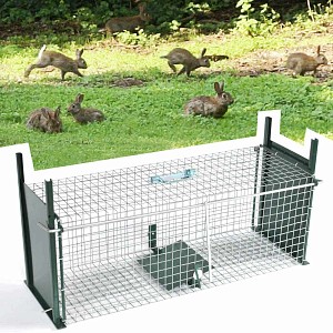 Cage piege à lapin double entrée
