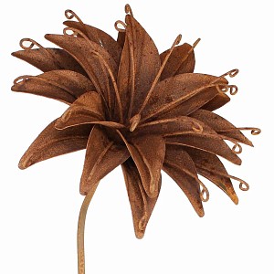Tuteur fleur Lys en fer brut 28cm