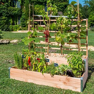 Carré potager en bois 2 étages + treillis