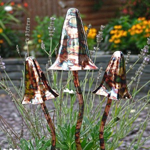 Champignon pointu cuivré brillant x3
