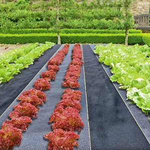 Chemin potager en feutre pour allées - L. 5m x l. 35 cm