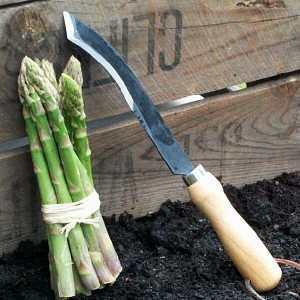 Couteau à asperges acier carbone