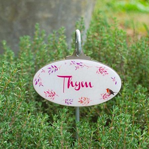 Etiquette de jardin plante aromatique Vintage